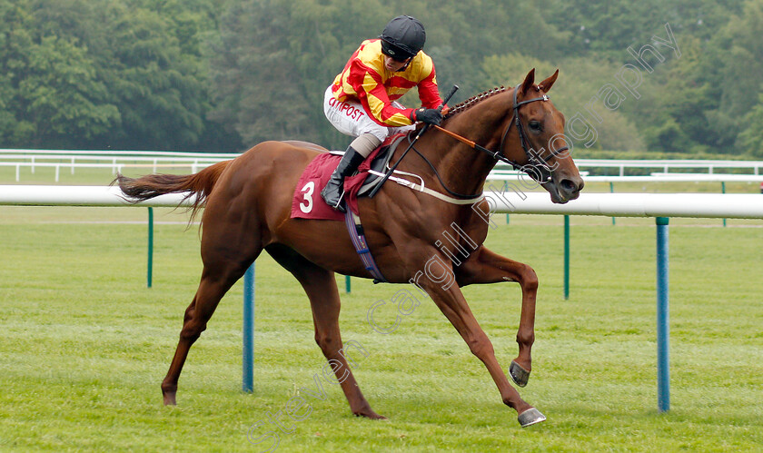 Sir-Ron-Priestley-0002 
 SIR RON PRIESTLEY (Franny Norton) wins The Amix Handicap
Haydock 25 May 2019 - Pic Steven Cargill / Racingfotos.com