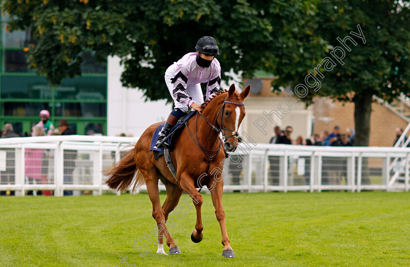 Genesius-0001 
 GENESIUS (Morgan Cole) 
Yarmouth 1 Jul 2021 - Pic Steven Cargill / Racingfotos.com