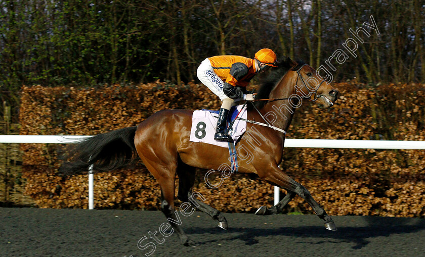 Poor-Auld-Paddy-0001 
 POOR AULD PADDY (David Probert)
Kempton 6 Mar 2019 - Pic Steven Cargill / Racingfotos.com