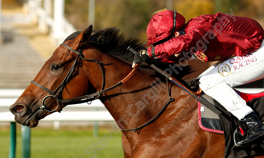 Twisted-Reality-0008 
 TWISTED REALITY (Cieren Fallon) wins The Play 3-2-Win At Mansionbet EBF Maiden Fillies Stakes Div 2
Nottingham 4 Nov 2020 - Pic Steven Cargill / Racingfotos.com