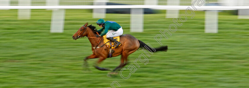 Spirit-D Aunou-0002 
 SPIRIT D'AUNOU (Niall Houlihan) wins The Betfair Handicap Hurdle
Sandown 9 Dec 2023 - Pic Steven Cargill / Racingfotos.com