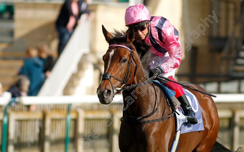 Sweet-Memories-0002 
 SWEET MEMORIES (Frankie Dettori)
Newmarket 29 Sep 2023 - Pic Steven Cargill / Racingfotos.com