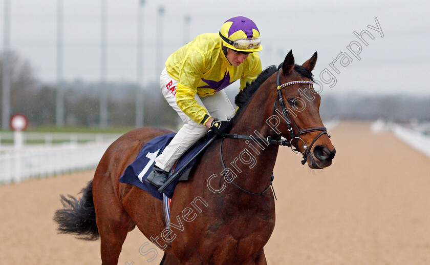 My-Oberon-0002 
 MY OBERON (Tom Marquand) winner of The Mansionbet Proud Partners of The AWC Conditions Stakes
Southwell 13 Feb 2022 - Pic Steven Cargill / Racingfotos.com