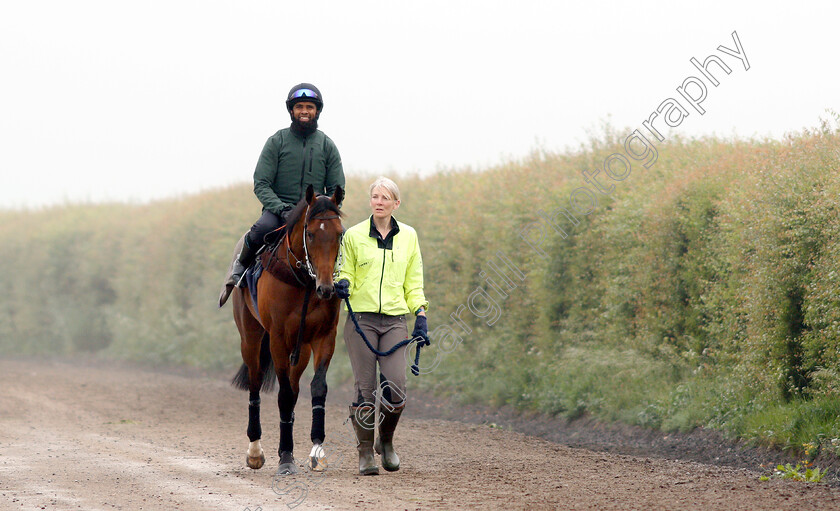 Knight-To-Behold-0008 
 KNIGHT TO BEHOLD, ridden by Mohammed Abdul Qazafi Mirza, walking home from the gallops with Christina Dunlop in preparation for The Investec Derby
Lambourn 31 May 2018 - Pic Steven Cargill / Racingfotos.com