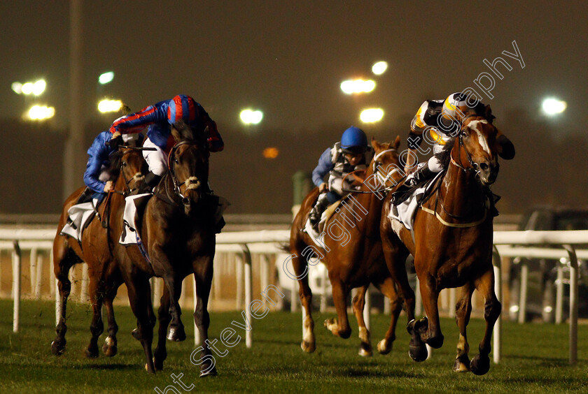 Los-Barbados-0003 
 LOS BARBADOS (Adrie de Vries) beats PRINCE OF ARRAN (left) in The EGA Al Taweelah Trophy Handicap Meydan 25 Jan 2018 - Pic Steven Cargill / Racingfotos.com