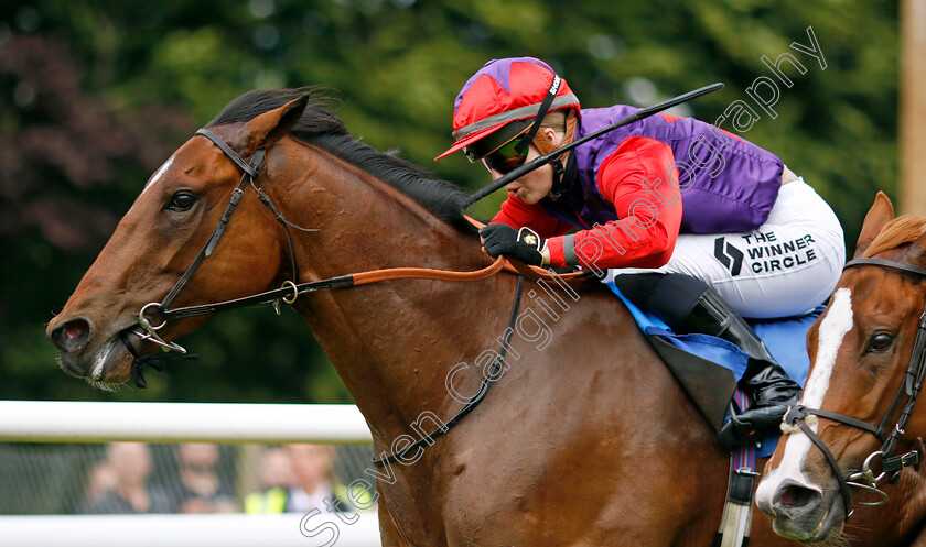 Pumalin-Park-0001 
 PUMALIN PARK (Saffie Osborne) wins The George Jeffery Memorial Handicap
Salisbury 16 Jun 2024 - pic Steven Cargill / Racingfotos.com