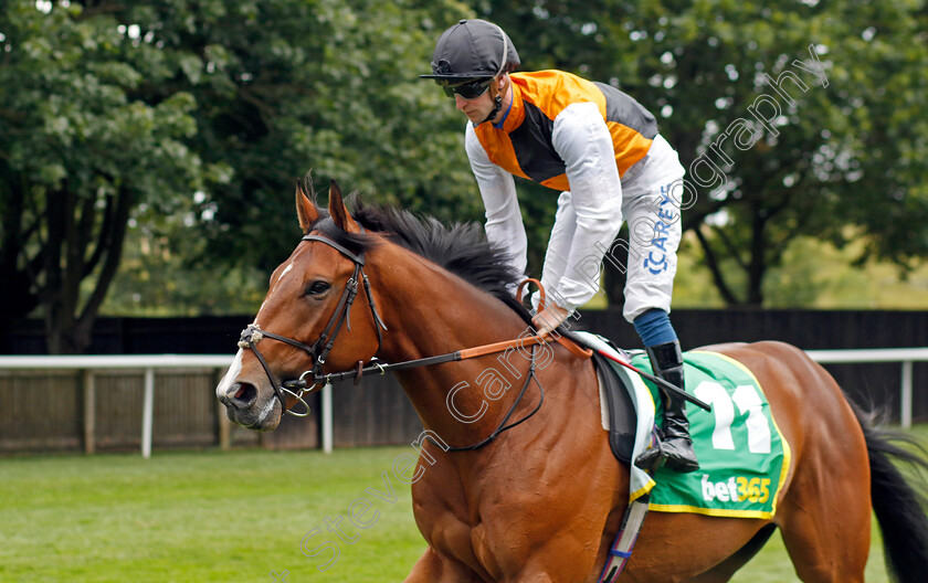 Sniper s-Eye-0001 
 SNIPER'S EYE (Joey Haynes)
Newmarket 15 Jul 2023 - Pic Steven Cargill / Racingfotos.com