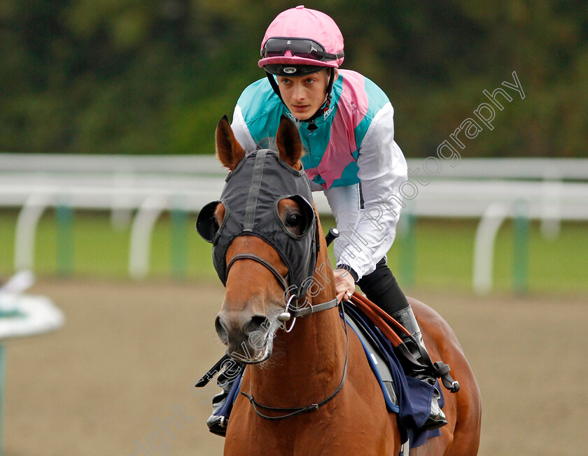 Recondite-0002 
 RECONDITE (Harry Bentley)
Lingfield 3 Oct 2019 - Pic Steven Cargill / Racingfotos.com