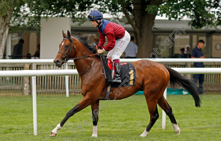 Ingra-Tor 
 INGRA TOR (Cieren Fallon)
Newmarket 30th July 2022 - Pic Steven Cargill / Racingfotos.com