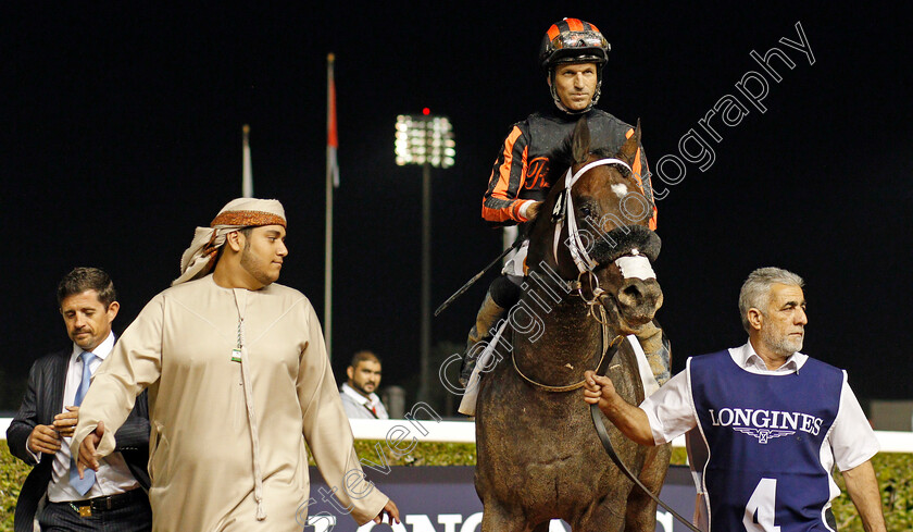 Kimbear-0006 
 KIMBEAR (Pat Dobbs) after The Al Maktoum Challenge (Round 1)
Meydan 9 Jan 2020 - Pic Steven Cargill / Racingfotos.com