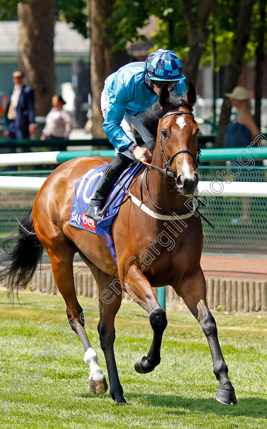 Makarova-0001 
 MAKAROVA (Tom Marquand)
Haydock 10 Jun 2023 - Pic Steven Cargill / Racingfotos.com