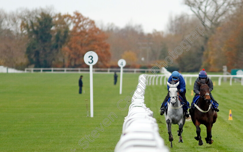 Eldorado-Allen-and-Rightsotom-0003 
 ELDORADO ALLEN (left) with RIGHTSOTOM (right) 
Coral Gold Cup Gallops Morning
Newbury 21 Nov 2023 - Pic Steven Cargill / Racingfotos.com