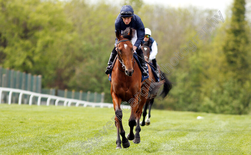 Cape-Of-Good-Hope-0001 
 CAPE OF GOOD HOPE (Ryan Moore) before winning The Investec Blue Riband Trial Stakes
Epsom 24 Apr 2019 - Pic Steven Cargill / Racingfotos.com