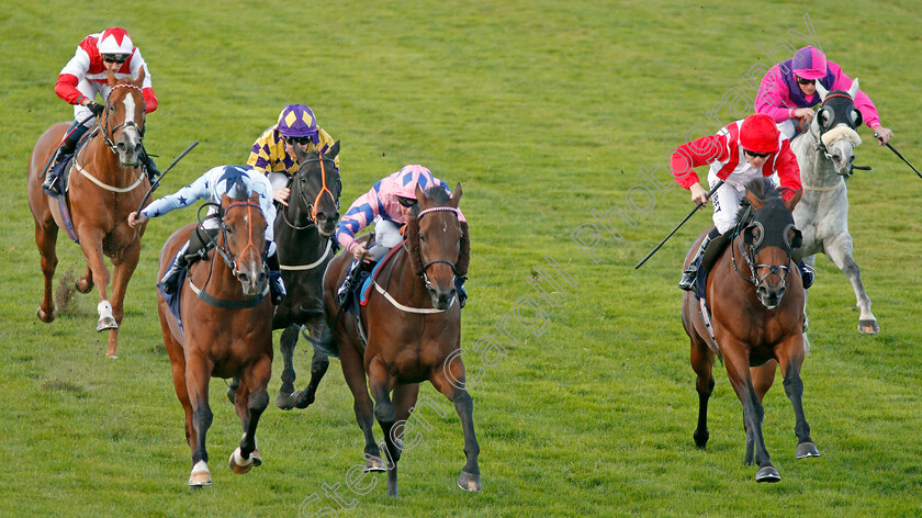 Han-Solo-Berger-0005 
 HAN SOLO BERGER (centre, Tom Queally) beats EXCELLENT GEORGE (left) and FOXY FOREVER (right) in The Injured Jockeys Fund Handicap
Yarmouth 17 Sep 2019 - Pic Steven Cargill / Racingfotos.com