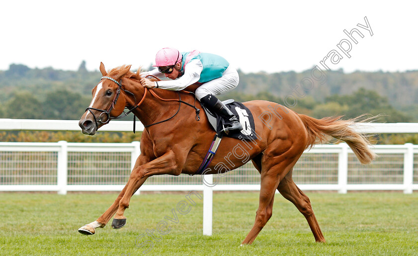 Pocket-Square-0004 
 POCKET SQUARE (Jason Watson) wins The Royal Foresters British EBF Fillies Novice Stakes
Ascot 7 Sep 2019 - Pic Steven Cargill / Racingfotos.com