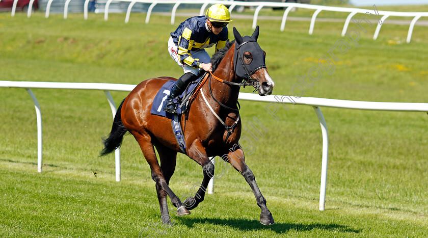 Daphne-May 
 DAPHNE MAY (Tom Marquand)
Chepstow 27 May 2022 - Pic Steven Cargill / Racingfotos.com