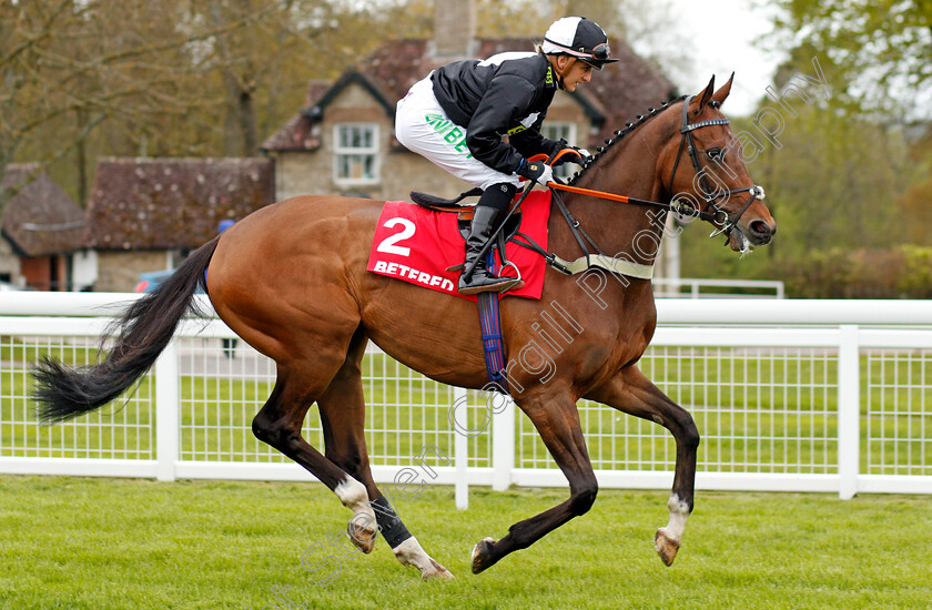 Medrano-0001 
 MEDRANO (Josephine Gordon) Salisbury 29 Apr 2018 - Pic Steven Cargill / Racingfotos.com