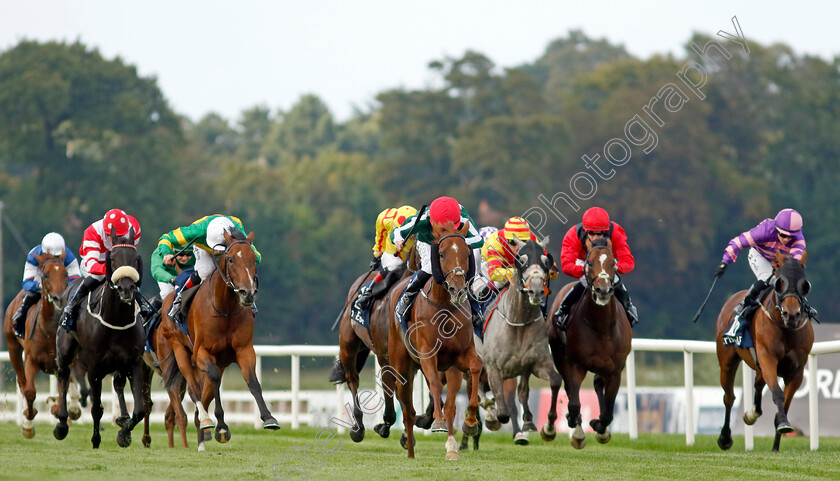 Satin-0006 
 SATIN (Shane Foley) beats COMFORT ZONE (left) in The Irish Stallion Farms EBF Petingo Handicap
Leopardstown 9 Sep 2023 - Pic Steven Cargill / Racingfotos.com