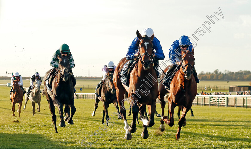 Military-Order-0005 
 MILITARY ORDER (William Buick) beats ANCIENT RULES (right) in The British Stallion Studs EBF Future Stayers Novice Stakes
Newmarket 19 Oct 2022 - Pic Steven Cargill / Racingfotos.com