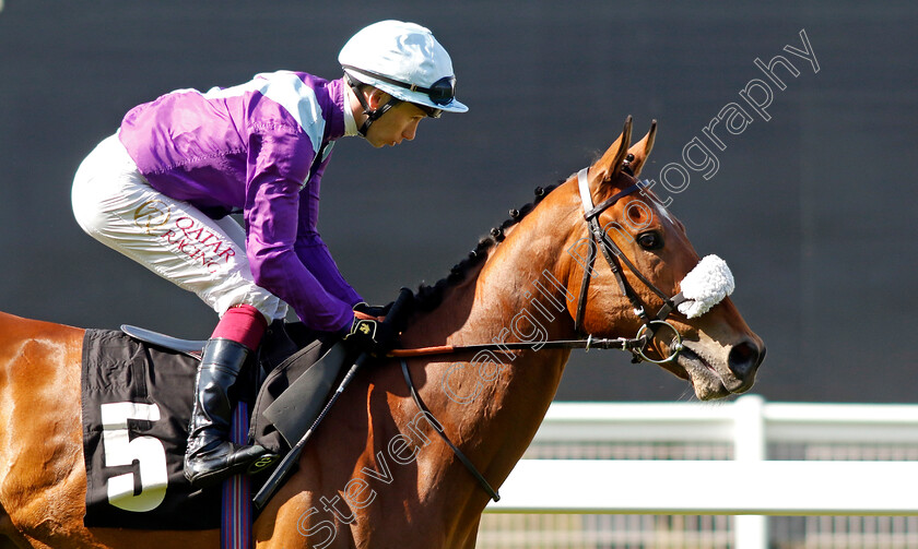 Desert-Cop-0001 
 DESERT COP (Oisin Murphy)
Ascot 3 May 2023 - Pic Steven Cargill / Racingfotos.com