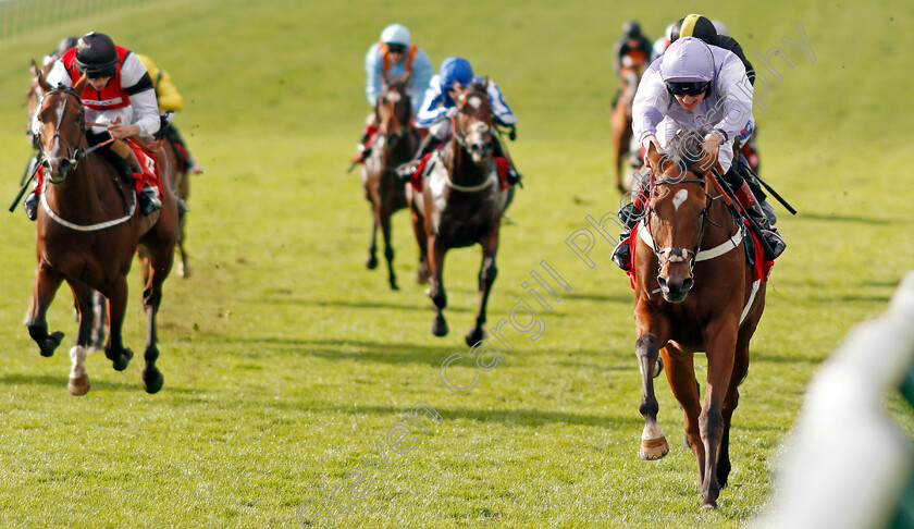 Dolphin-Vista-0004 
 DOLPHIN VISTA (George Wood) wins The Betfred Cambridgeshire Handicap Newmarket 30 Sep 2017 - Pic Steven Cargill / Racingfotos.com