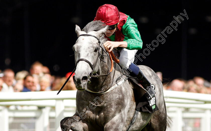 Technician-0007 
 TECHNICIAN (Rob Hornby) wins The Unibet Geoffrey Freer Stakes
Newbury 17 Aug 2019 - Pic Steven Cargill / Racingfotos.com