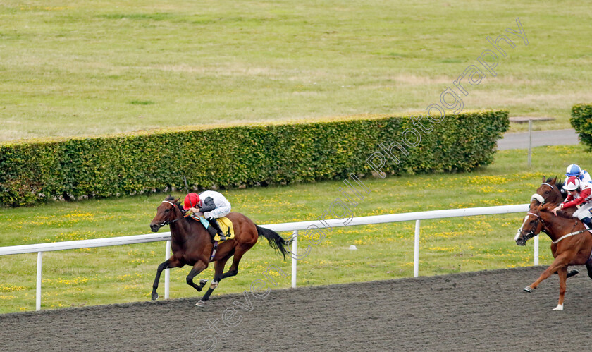 Gutsy-Girl-0006 
 GUTSY GIRL (Kieran Shoemark) wins The Unibet Zero% Mission Handicap
Kempton 16 Jul 2024 - Pic Steven Cargill / Racingfotos.com