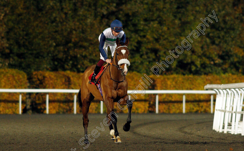 Coltrane-0001 
 COLTRANE (Rob Hornby)
Kempton 10 Nov 2021 - Pic Steven Cargill / Racingfotos.com