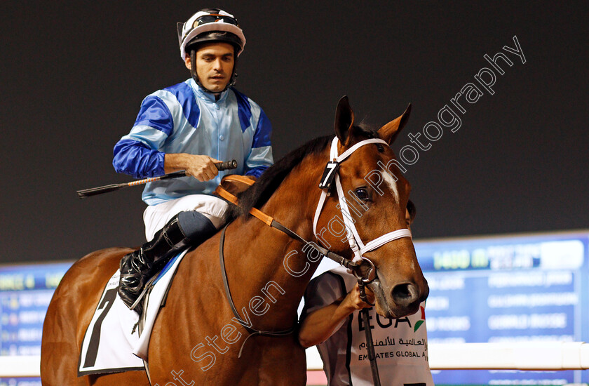 London-Look-0001 
 LONDON LOOK (Fernando Jara) Meydan 25 Jan 2018 - Pic Steven Cargill / Racingfotos.com