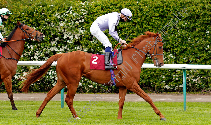 Oman-0001 
 OMAN (Hector Crouch)
Haydock 22 May 2021 - Pic Steven Cargill / Racingfotos.com