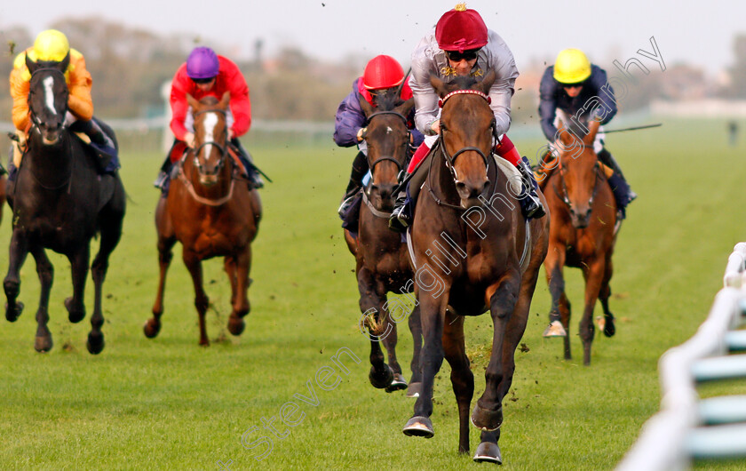 Aljezeera-0005 
 ALJEZEERA (Frankie Dettori) wins The British Stallion Studs EBF Beckford Stakes Yarmouth 16 Oct 2017 - Pic Steven Cargill / Racingfotos.com