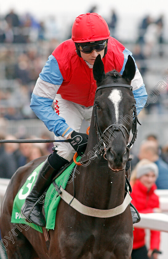 Garo-De-Juilley-0001 
 GARO DE JUILLEY (Paddy Brennan)
Cheltenham 1 Jan 2020 - Pic Steven Cargill / Racingfotos.com