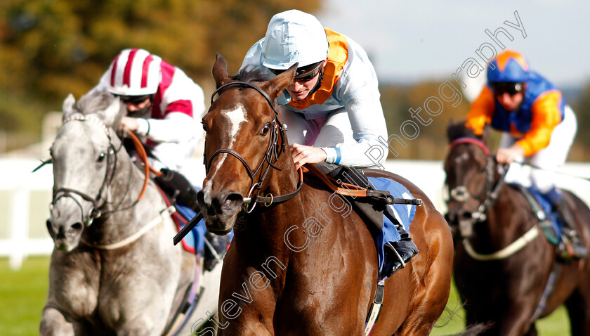 Ice-Station-Zebra-0004 
 ICE STATION ZEBRA (Rob Hornby) wins The Byerley Stud Handicap
Salisbury 1 Oct 2020 - Pic Steven Cargill / Racingfotos.com