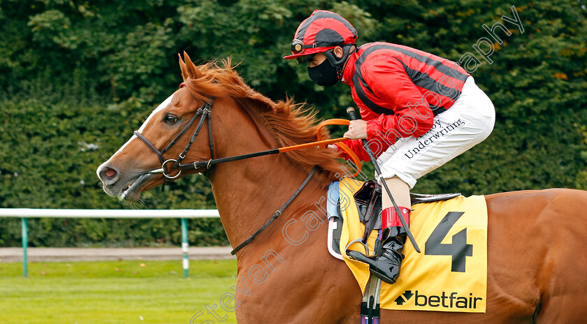 Stormy-Antarctic-0002 
 STORMY ANTARCTIC (Andrea Atzeni)
Haydock 5 Sep 2020 - Pic Steven Cargill / Racingfotos.com