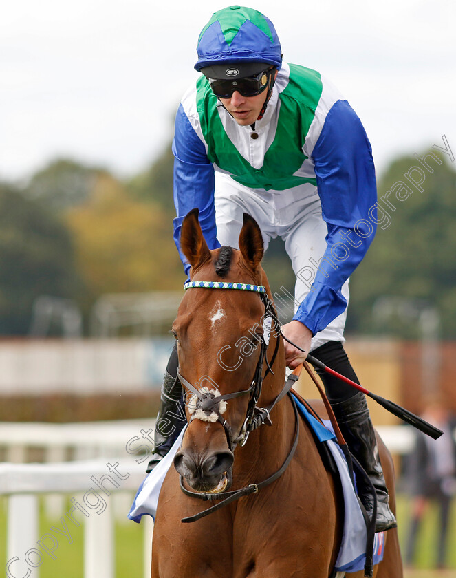 Vafortino-0002 
 VAFORTINO (James Doyle)
York 24 Aug 2024 - Pic Steven Cargill / Racingfotos.com