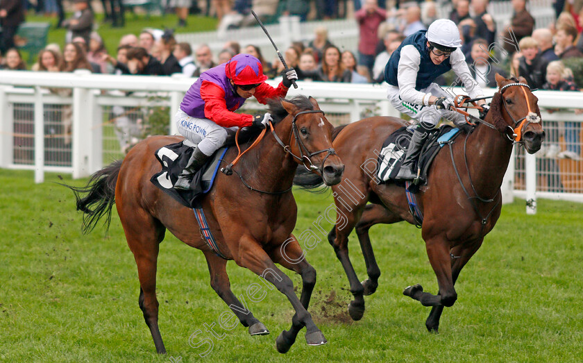 Di-Fede-0002 
 DI FEDE (left, Silvestre De Sousa) beats MISS CELESTIAL (right) in The Child Bereavement UK British EBF October Stakes
Ascot 5 Oct 2019 - Pic Steven Cargill / Racingfotos.com