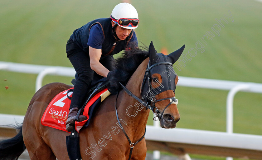 Trawlerman-0001 
 TRAWLERMAN training for The Red Sea Turf Handicap
King Abdulaziz Racecourse, Kingdom of Saudi Arabia, 22 Feb 2023 - Pic Steven Cargill / Racingfotos.com