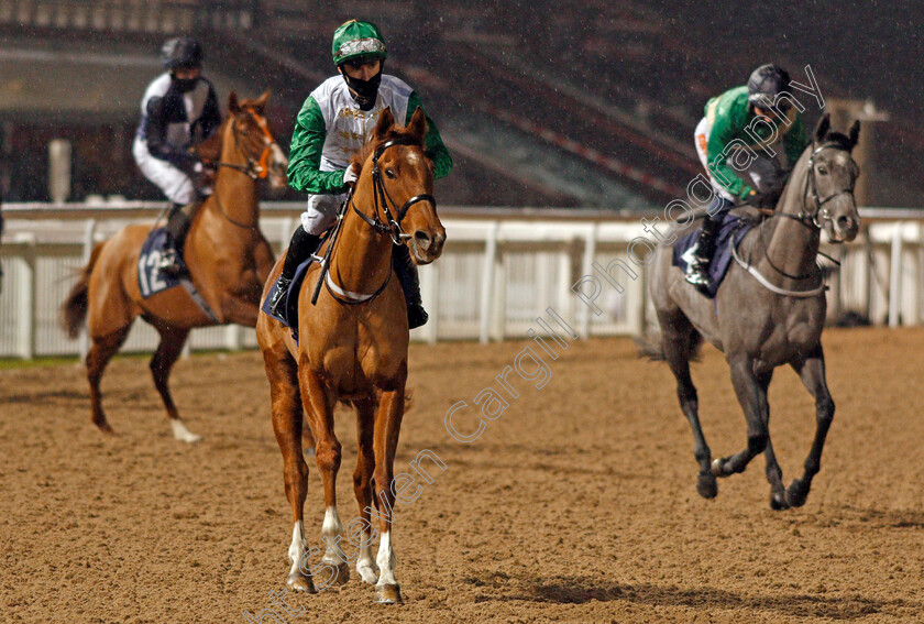 Princess-Layan-0001 
 PRINCESS LAYAN (Jack Garritty) winner of The Ladbrokes Watch Racing Online For Free Fillies Novice Stakes
Wolverhampton 4 Jan 2021 - Pic Steven Cargill / Racingfotos.com