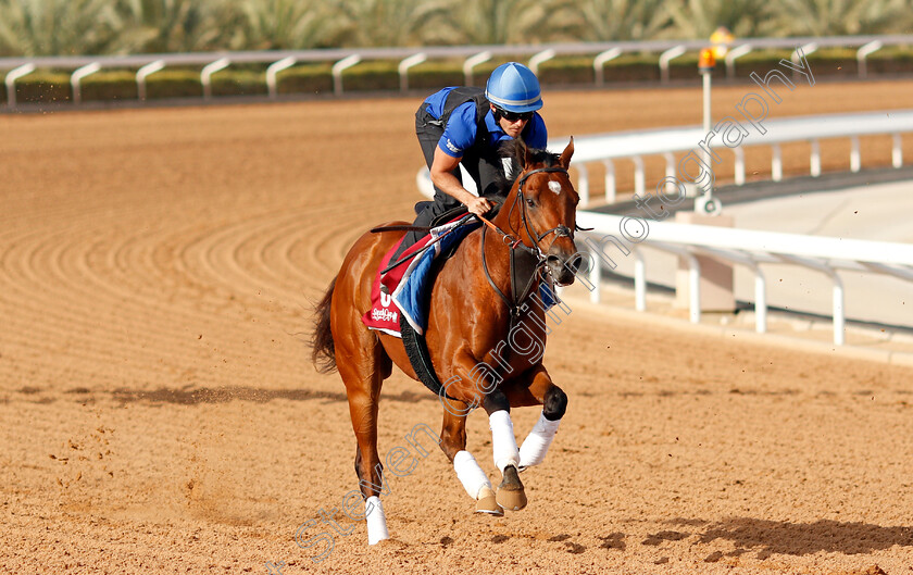 Dubai-Future-0002 
 DUBAI FUTURE training for The Turf Handicap
King Abdulaziz Racetrack, Riyadh, Saudi Arabia 24 Feb 2022 - Pic Steven Cargill / Racingfotos.com