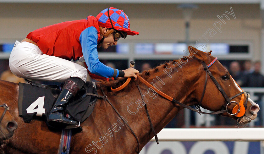 Animal-Instinct-0008 
 ANIMAL INSTINCT (Ryan Tate) wins The totepool Cashback Club At totesport.com EBF Novice Stakes
Chelmsford 24 Oct 2019 - Pic Steven Cargill / Racingfotos.com