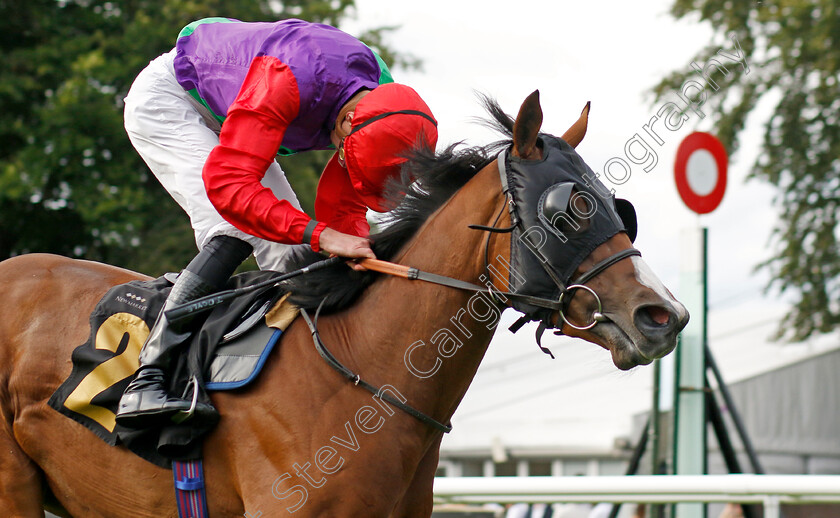 Say-Hello-0001 
 SAY HELLO (James Doyle) wins The Visit racingtv.com Nursery
Newmarket 28 Jul 2023 - Pic Steven Cargill / Racingfotos.com