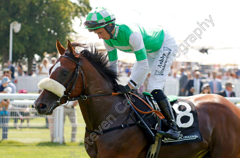 Mr-Lightside-0002 
 MR LIGHTSIDE (Rossa Ryan)
Goodwood 31 Jul 2024 - Pic Steven Cargill / Racingfotos.com