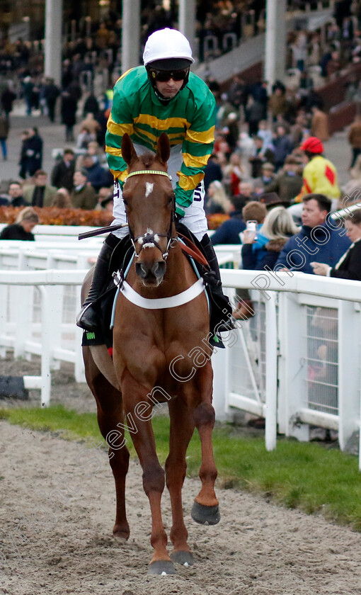 Under-Control-0002 
 UNDER CONTROL (Nico de Boinville)
Cheltenham 17 Nov 2024 - Pic Steven Cargill / Racingfotos.com