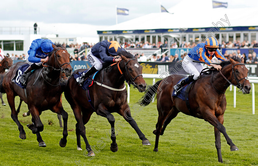 Seahenge-0003 
 SEAHENGE (right, Donnacha O'Brien) beats HEY GAMAN (centre) and MYTHICAL MAGIC (left) in The Howcroft Industrial Supplies Champagne Stakes Doncaster 16 Sep 2017 - Pic Steven Cargill / Racingfotos.com