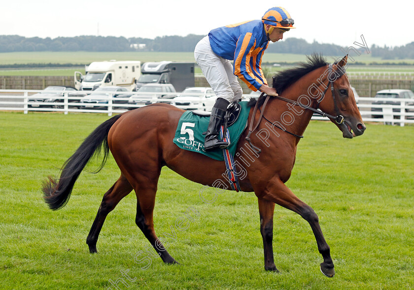 Henry-Longfellow-0007 
 HENRY LONGFELLOW (Ryan Moore) winner of The Goffs Vincent O'Brien National Stakes
The Curragh 10 Sep 2023 - Pic Steven Cargill / Racingfotos.com