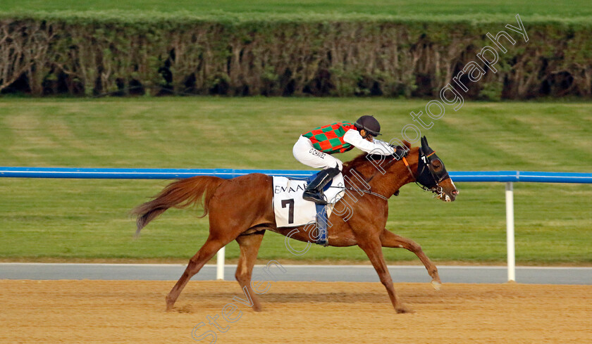 Hayyan-0002 
 HAYYAN (Oscar Chaves) wins The Al Maktoum Challenge (Round 2) for Purebred Arabians
Meydan, Dubai 3 Feb 2023 - Pic Steven Cargill / Racingfotos.com