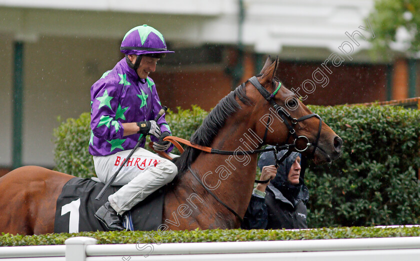 Hurricane-Ivor 
 HURRICANE IVOR (Tom Marquand)
Ascot 2 Oct 2021 - Pic Steven Cargill / Racingfotos.com