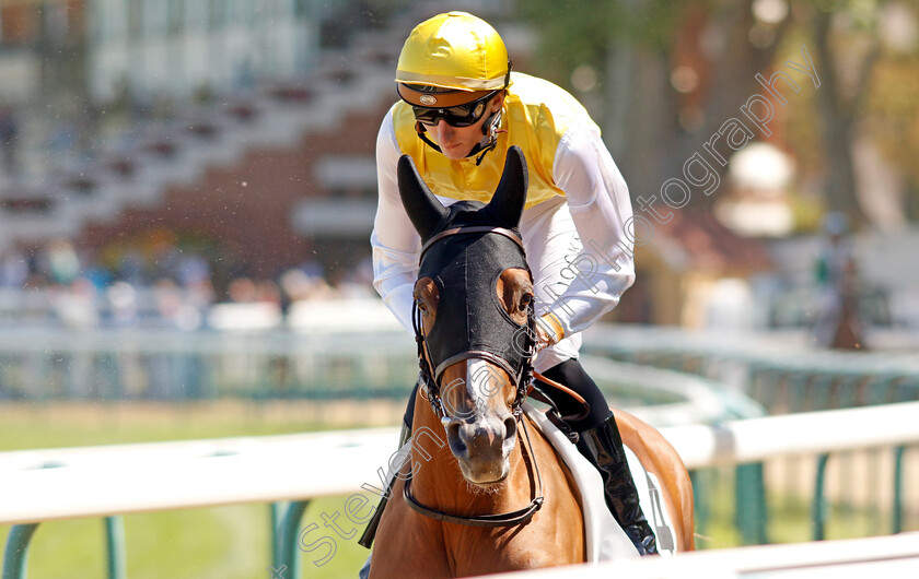 Australiana-0002 
 AUSTRALIANA (S Planque)
Deauville 6 Aug 2022 - Pic Steven Cargill / Racingfotos.com