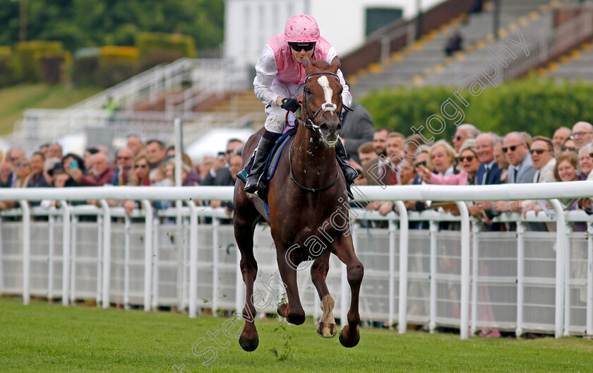 Lionel-0008 
 LIONEL (Jamie Spencer) wins The British Stallion Studs EBF Cocked Hat Stakes
Goodwood 20 May 2022 - Pic Steven Cargill / Racingfotos.com