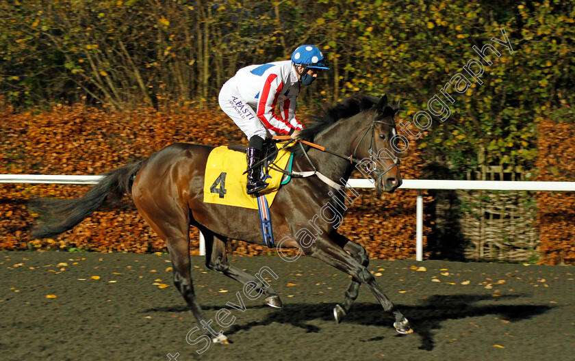 Black-Box-0001 
 BLACK BOX (Ben Curtis)
Kempton 25 Nov 2020 - Pic Steven Cargill / Racingfotos.com